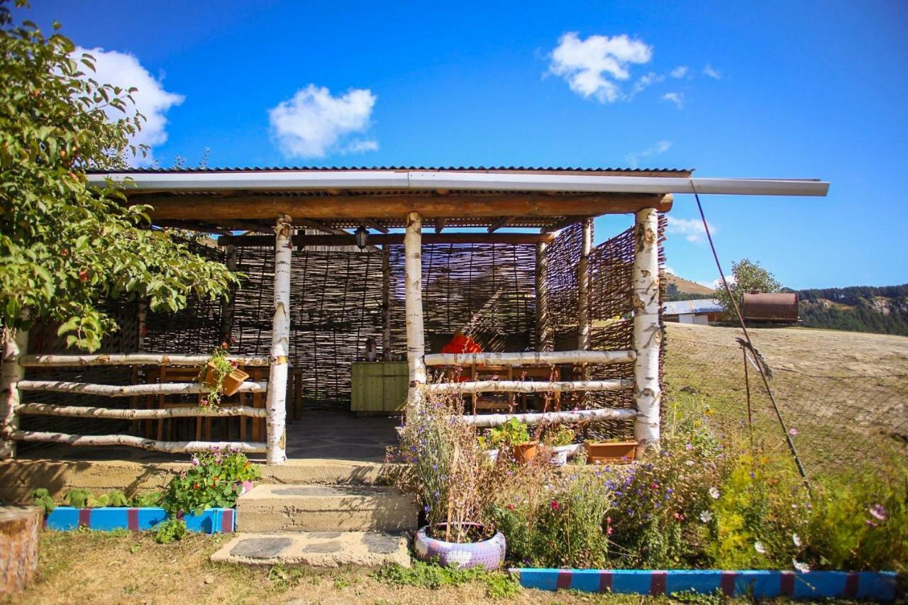Guest House Old Omalo Exterior photo